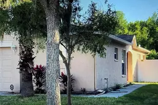 18250 Snowdonia Dr, Land O Lakes, FL 34638 - Photo 1