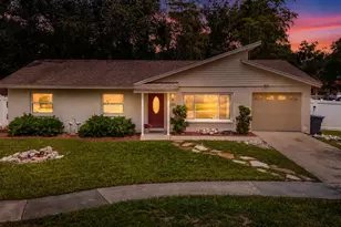 11007 Airview Dr, Tampa, FL 33625 - Photo 1