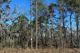 11117 Seattle Wren Ave, Weeki Wachee, FL 34614 - Photo 1