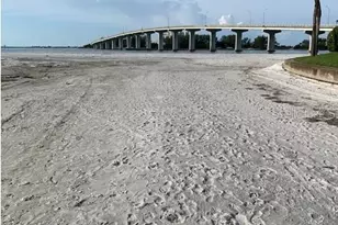 800 S Gulfview Blvd, Clearwater Beach, FL 33767 - Photo 1