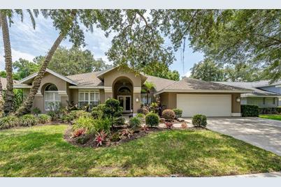 15909 Dawson Ridge Drive, Tampa, FL 33647 - Photo 1