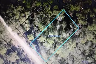 Tba Jones St, Elkton, FL 32033 - Photo 1