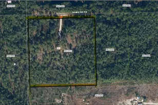 145 Snake Hill, Crescent City, FL 32112 - Photo 1