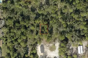 Park Forest Blvd, Mount Dora, FL 32757 - Photo 1