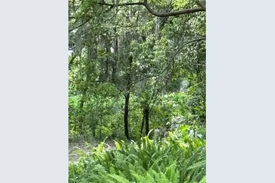 Grand Avenue, Deland, FL 32720 - Photo 1