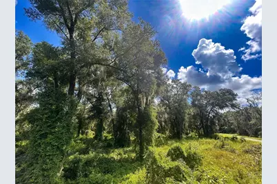 Emerald Woods Way, Deland, FL 32720 - Photo 1