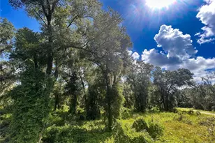 Emerald Woods Way, Deland, FL 32720 - Photo 1