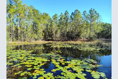 Smith Street, Astor, FL 32102 - Photo 1