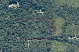 6989 N Tamarind Ave, Hernando, FL 34442 - Photo 1