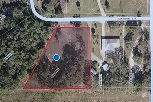 25421 Mardon Cir, Paisley, FL 32767 - Photo 1