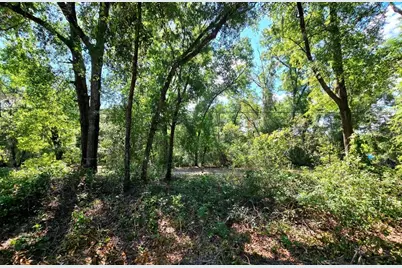 162 Putnam Loop Road, Melrose, FL 32666 - Photo 1