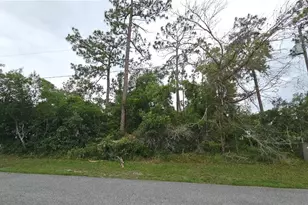 1349 Lodge Terrace, Deltona, FL 32738 - Photo 1