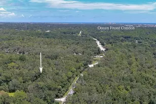 1150 Old Mission Rd, New Smyrna Beach, FL 32168 - Photo 1