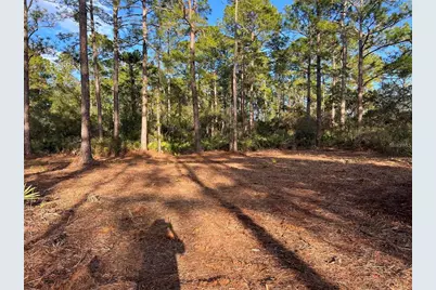 Tbd Chinaberry Way, Eustis, FL 32736 - Photo 1