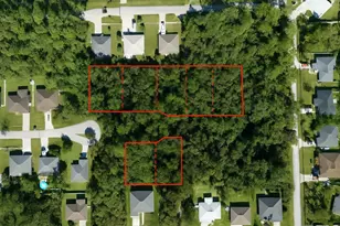 55 Seaton Valley Path, Palm Coast, FL 32164 - Photo 1