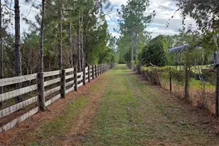285 Olmstead Rd, Pierson, FL 32180 - Photo 1