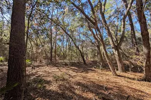 Lake Margaret Blvd, Pomona Park, FL 32181 - Photo 1