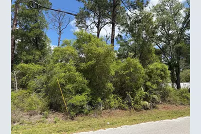 Maryland Street, Paisley, FL 32767 - Photo 1
