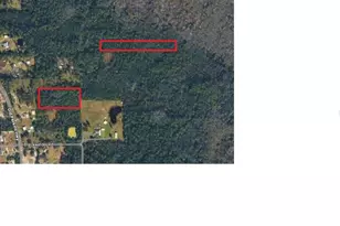 N St, De Leon Springs, FL 32130 - Photo 1