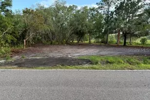 Spring Garden Ranch Rd, De Leon Springs, FL 32130 - Photo 1