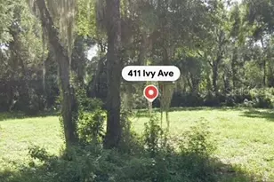 411 Ivy Ave, Deland, FL 32724 - Photo 1