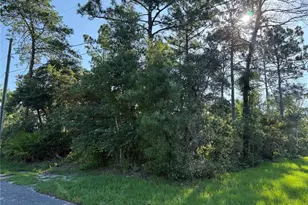 Hickory Ave, Orange City, FL 32763 - Photo 1