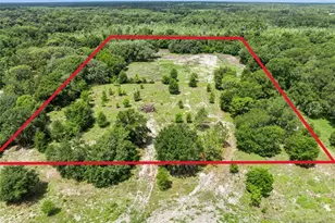 2040 Holly Hammock Rd, De Leon Springs, FL 32130 - Photo 1