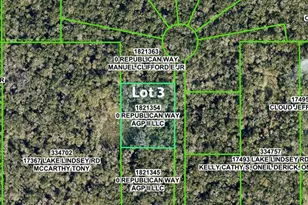 0 Republican (Lot 3) Way, Brooksville, FL 34601 - Photo 1