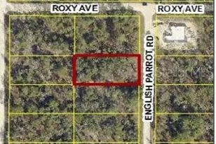 14100 English Parrot Rd, Weeki Wachee, FL 34614 - Photo 1