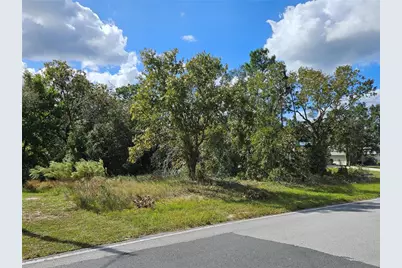89 Cypress Boulevard E, Homosassa, FL 34446 - Photo 1