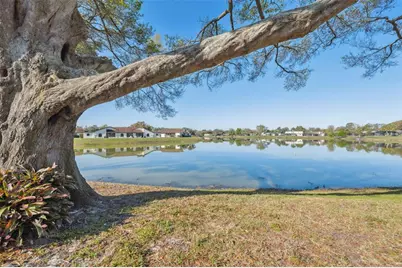 7414 Heather Walk Drive, Weeki Wachee, FL 34613 - Photo 1