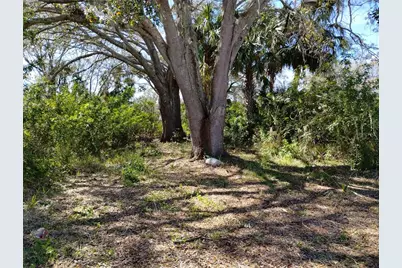 0 Belah Drive Lot #8, New Port Richey, FL 34653 - Photo 1