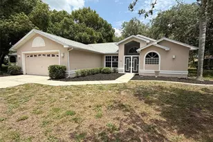 4 Sandpine Ct W, Homosassa, FL 34446 - Photo 1