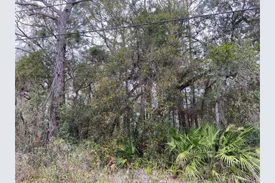 00 Purdue Street, New Port Richey, FL 34654 - Photo 1