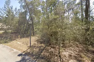 19 Lobelia Ct, Homosassa, FL 34446 - Photo 1