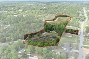 7339 Nightwalker Rd, Weeki Wachee, FL 34613 - Photo 1