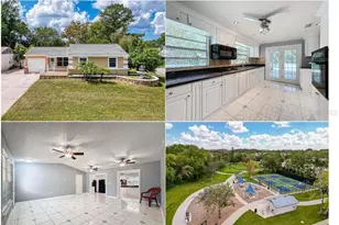 5147 Larch Ln, New Port Richey, FL 34653 - Photo 1