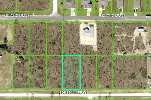 Scissorbill Ave, Brooksville, FL 34614 - Photo 1