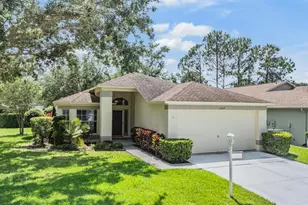 1407 Hickory Moss Pl, Trinity, FL 34655 - Photo 1