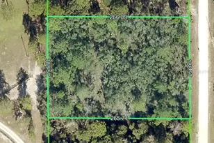 [Address not provided], Weeki Wachee, FL 34614 - Photo 1