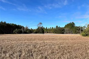 0 NW US Hwy 19 N, Chiefland, FL 32626 - Photo 1