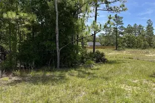 0 Celeste {lot6} Ave, Weeki Wachee, FL 34614 - Photo 1