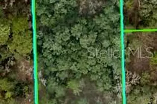 Mississippi Kite Ave, Brooksville, FL 34614 - Photo 1