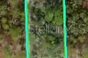 11391 Mississippi Kite Ave, Brooksville, FL 34614 - Photo 1