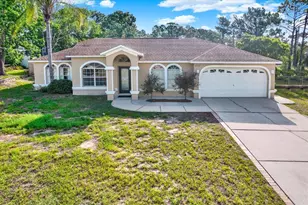 2172 Whitewood Ave, Spring Hill, FL 34609 - Photo 1