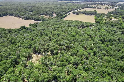 11426 S Pleasant Grove Road, Floral City, FL 34436 - Photo 1