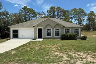 11308 Mahopac Rd, Weeki Wachee, FL 34614 - Photo 1