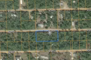 25 NE 238th Pl, Fort Mc Coy, FL 32134 - Photo 1