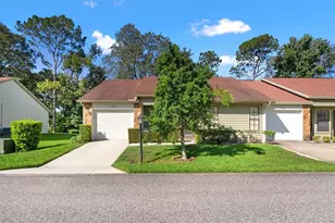 6590 Brambleleaf Dr, Spring Hill, FL 34606 - Photo 1