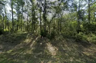 8965 N Lily Dr, Dunnellon, FL 34434 - Photo 1